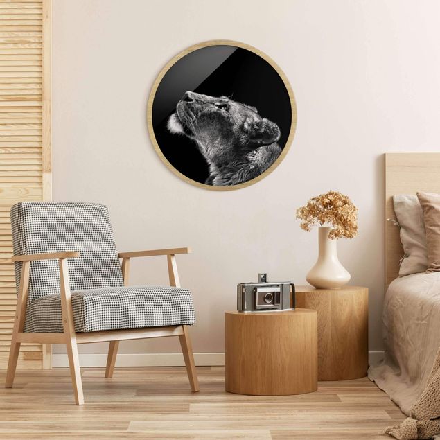 Circular framed print - Portrait Of A Lioness