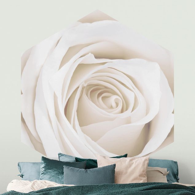 Wallpapers Pretty White Rose