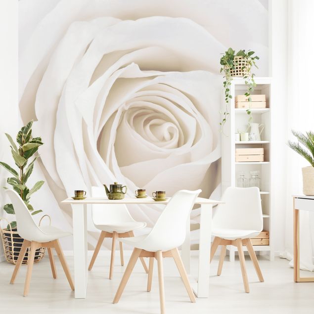 Wallpaper - Pretty White Rose