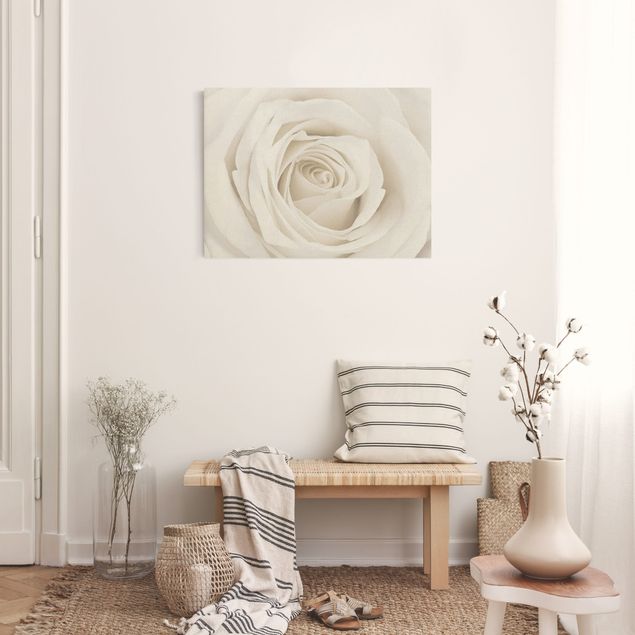 Canvas print gold - Pretty White Rose