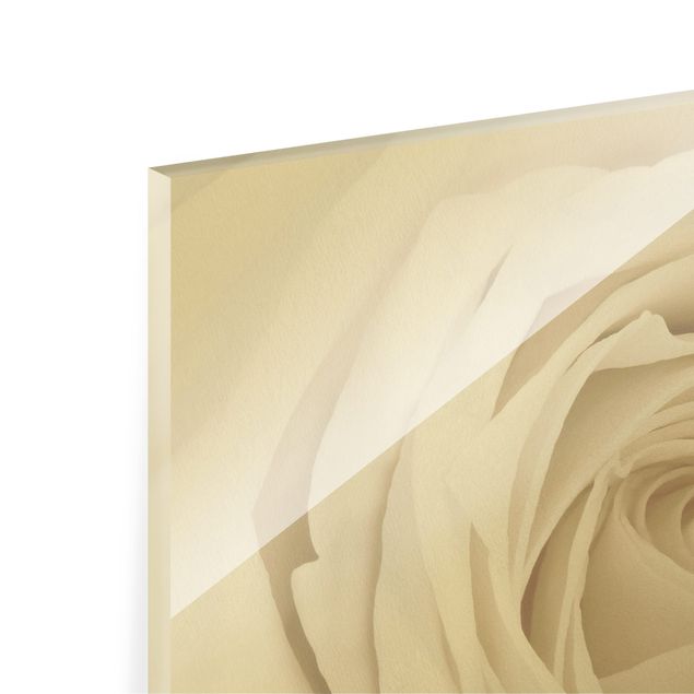 Glass print - Pretty White Rose