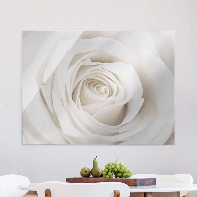 Magnettafel Glas Pretty White Rose