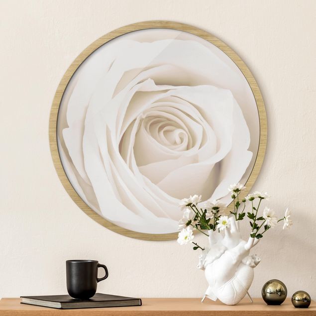 Framed prints round Pretty White Rose