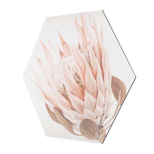 Alu-Dibond hexagon - Protea Queen Of Flowers