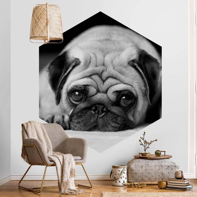 Self-adhesive hexagonal pattern wallpaper - Pug Loves You II
