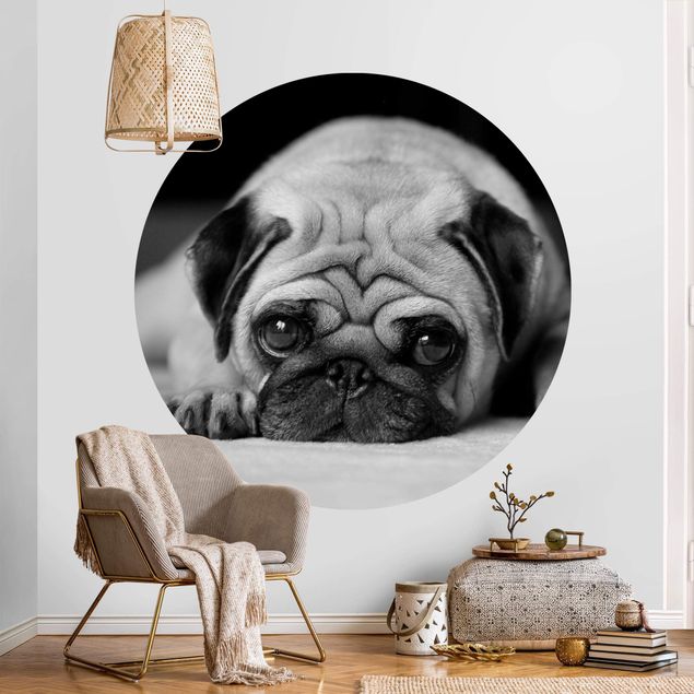 Wallpapers Pug Loves You II