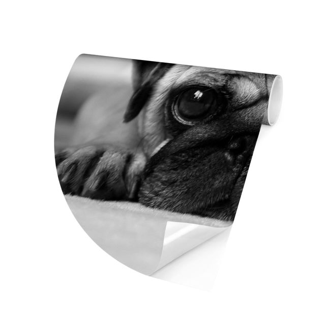 Self-adhesive round wallpaper - Pug Loves You II