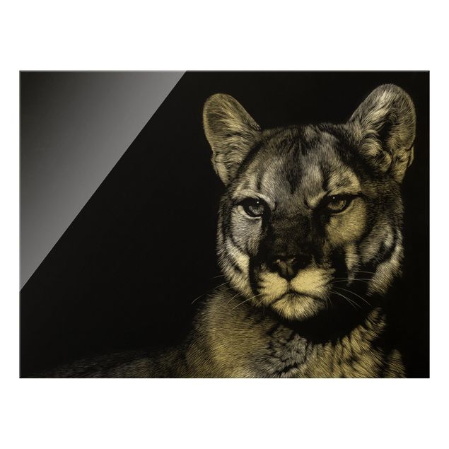 Glass print - Puma On Black - Landscape format
