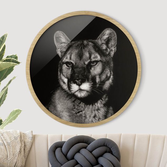 Framed prints round Puma On Black
