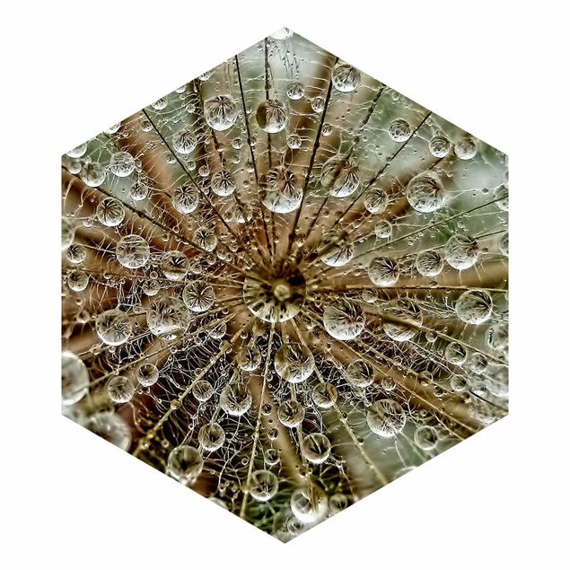 Self-adhesive hexagonal pattern wallpaper - Dandelion In Autumn