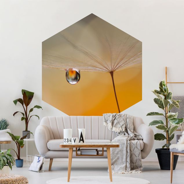 Self-adhesive hexagonal pattern wallpaper - Dandelion In Orange