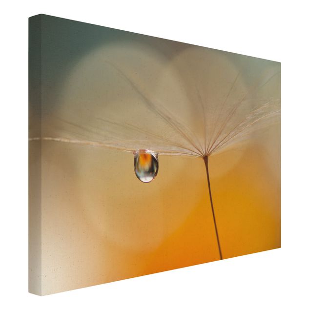 Natural canvas print - Dandelion In Orange - Landscape format 4:3
