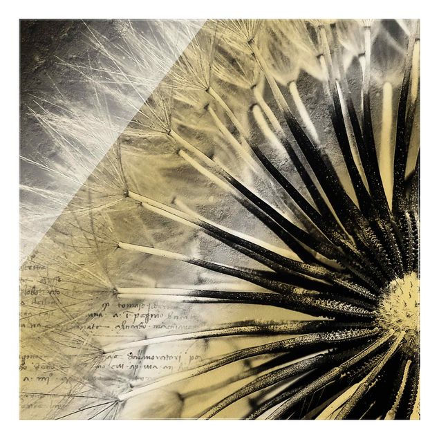 Glass print - Dandelion Black & White - Square
