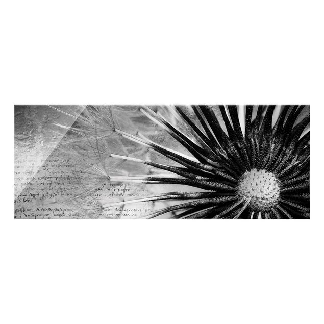 Glass print - Dandelion Black & White