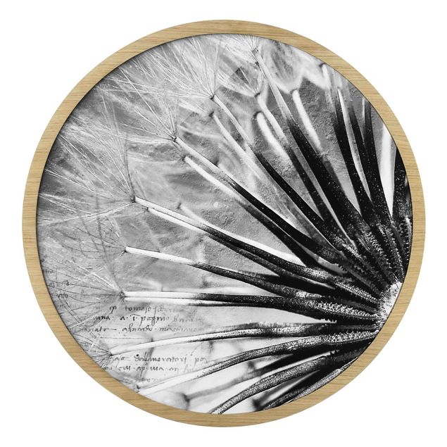 Circular framed print - Dandelion Black & White
