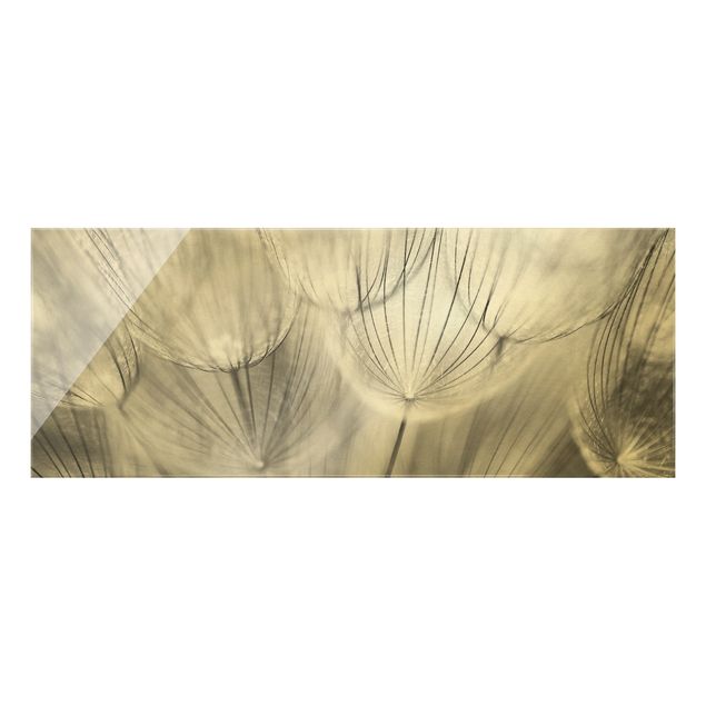 Glass print - Dandelions macro shot in black and white