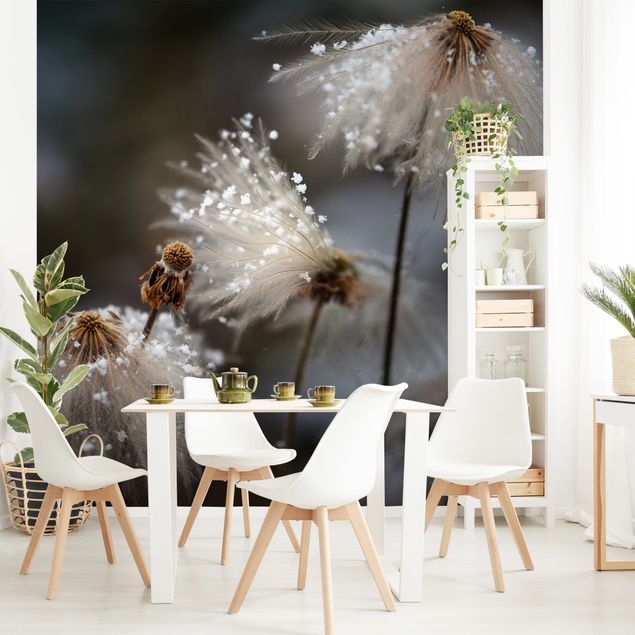 Wallpaper - Dandelions With Snowflakes