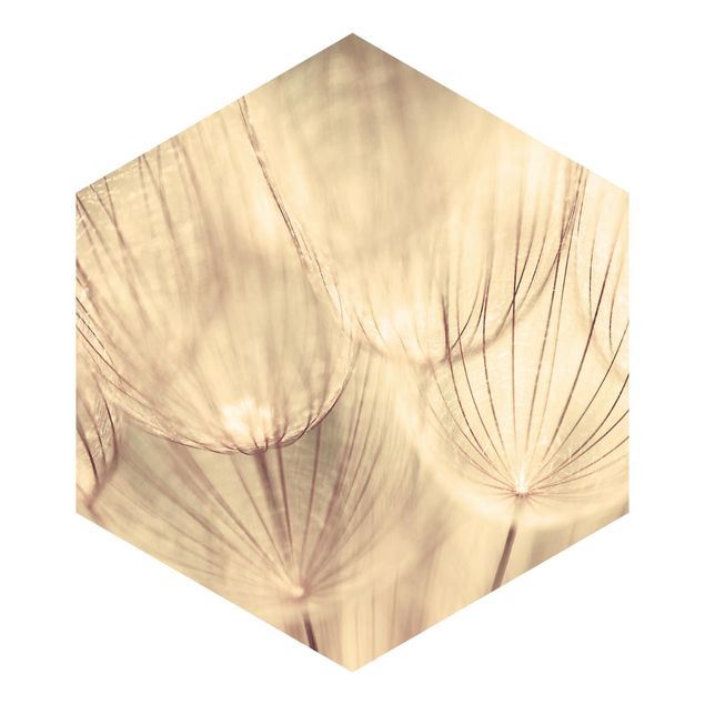 Self-adhesive hexagonal pattern wallpaper - Dandelions Close-Up In Cozy Sepia Tones