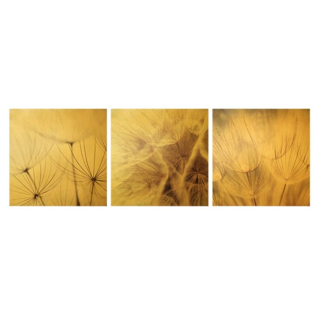 Print on canvas 3 parts - Dandelions And Grasses