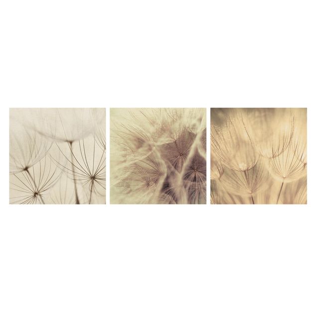 Print on canvas 3 parts - Dandelions And Grasses