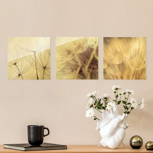 Glass print 3 parts - Dandelions And Grasses