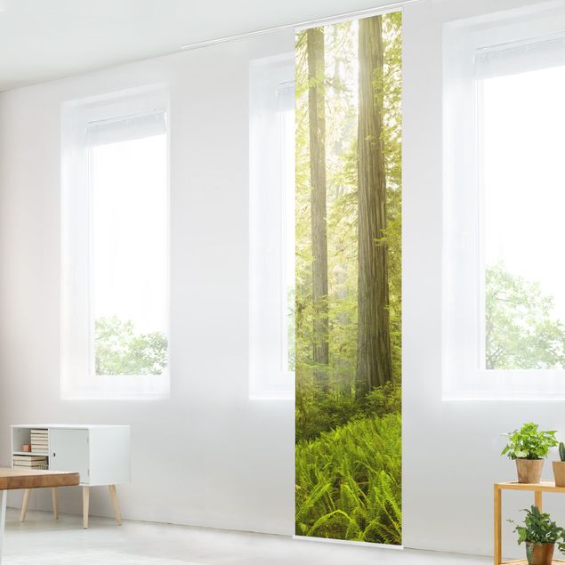 Sliding panel curtains set - Redwood State Park Forest View