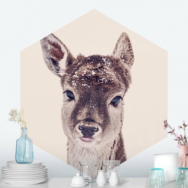 Wallpapers Fawn Portrait