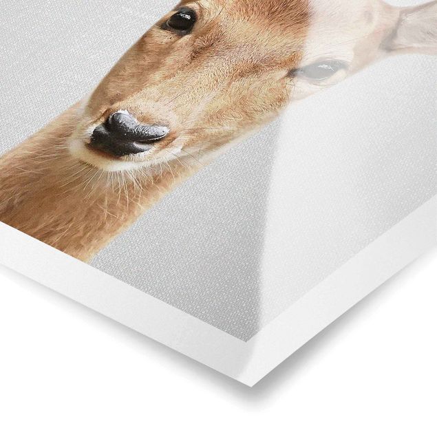 Poster art print - Roe Deer Rita