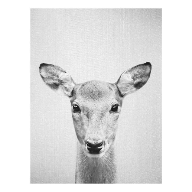 Glass print - Roe Deer Rita Black And White