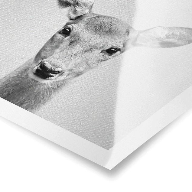 Poster art print - Roe Deer Rita Black And White