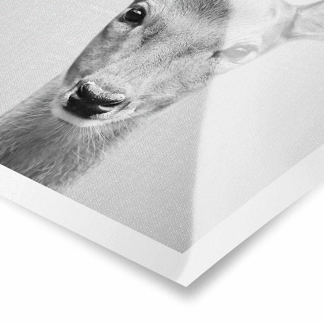 Poster art print - Roe Deer Rita Black And White