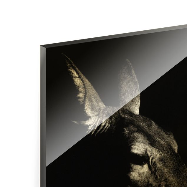 Glass print - Deer On Black - Square