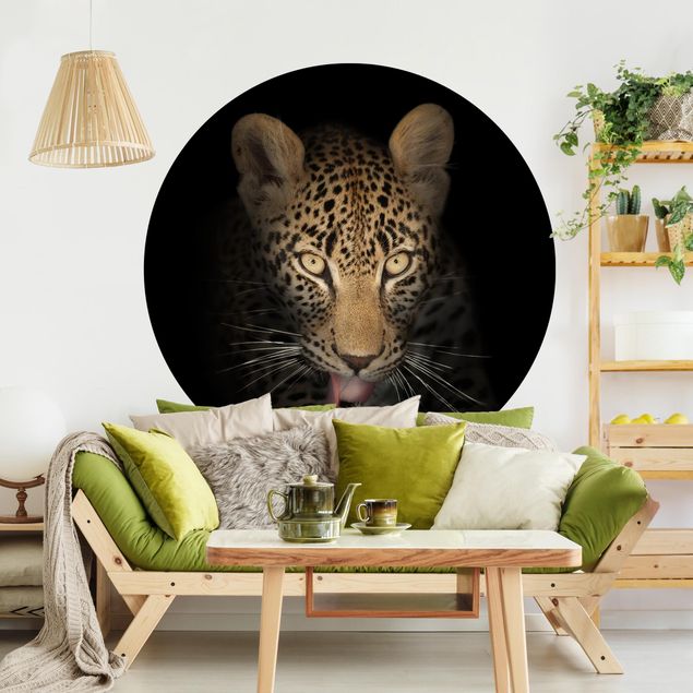 Wallpapers Resting Leopard