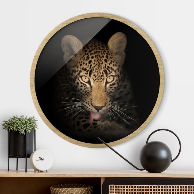 Framed prints round Resting Leopard