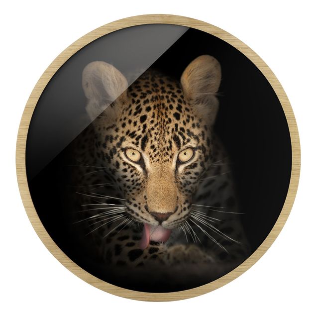 Circular framed print - Resting Leopard