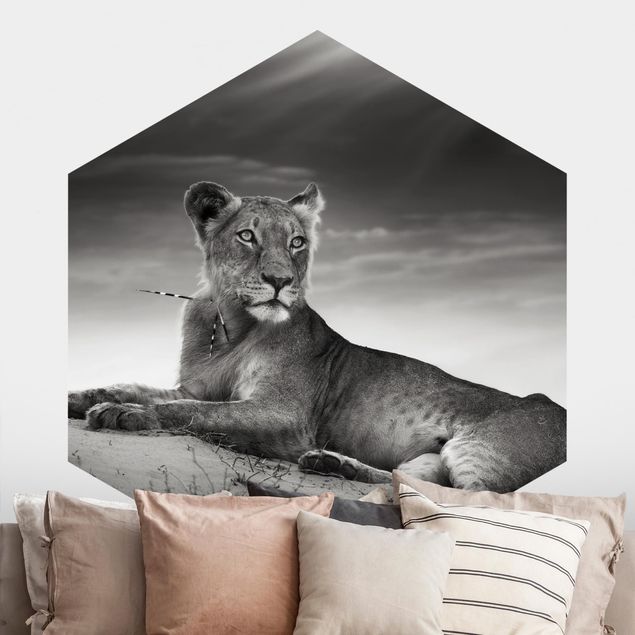 Hexagonal wallpapers Resting Lion