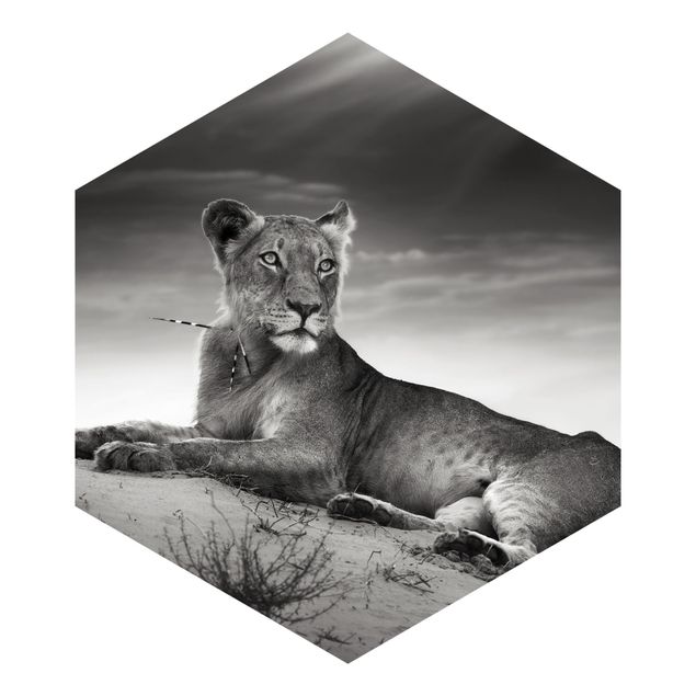 Self-adhesive hexagonal pattern wallpaper - Resting Lion
