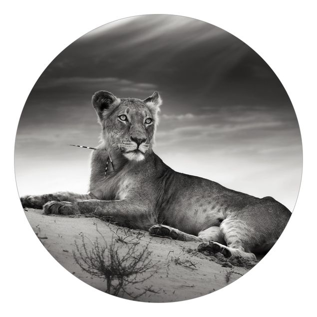 Self-adhesive round wallpaper - Resting Lion