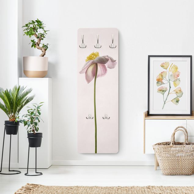 Coat rack - Pink Anemone Blossoms