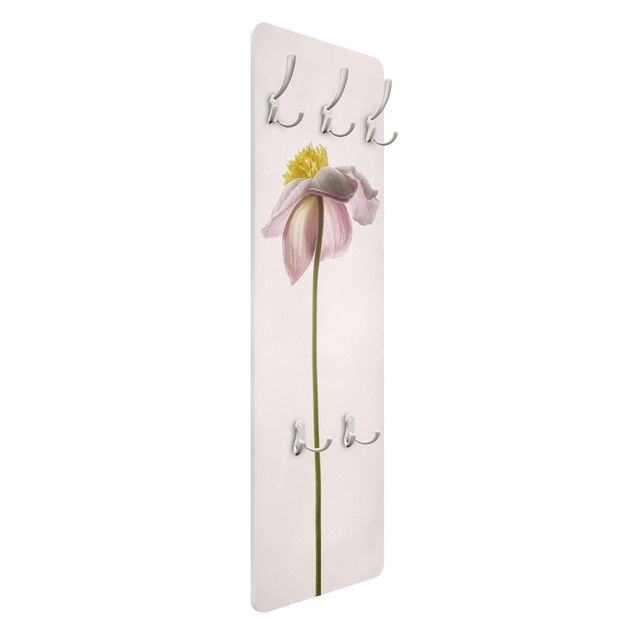 Coat rack - Pink Anemone Blossoms