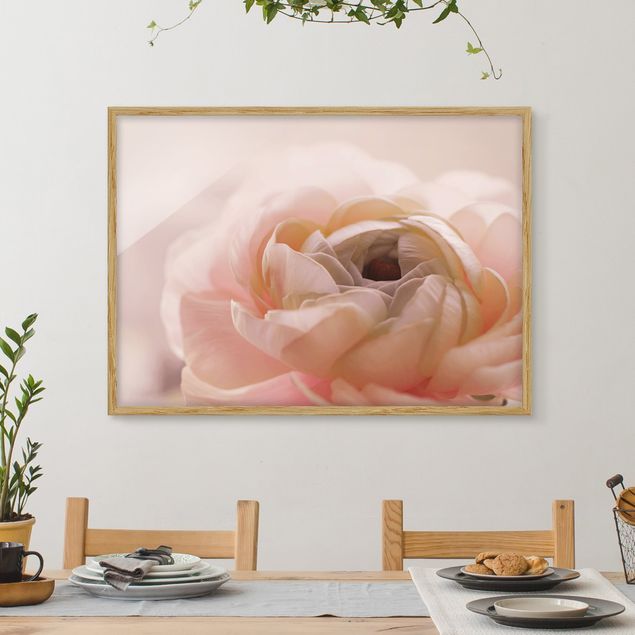 Framed poster - Focus On Light Pink Flower