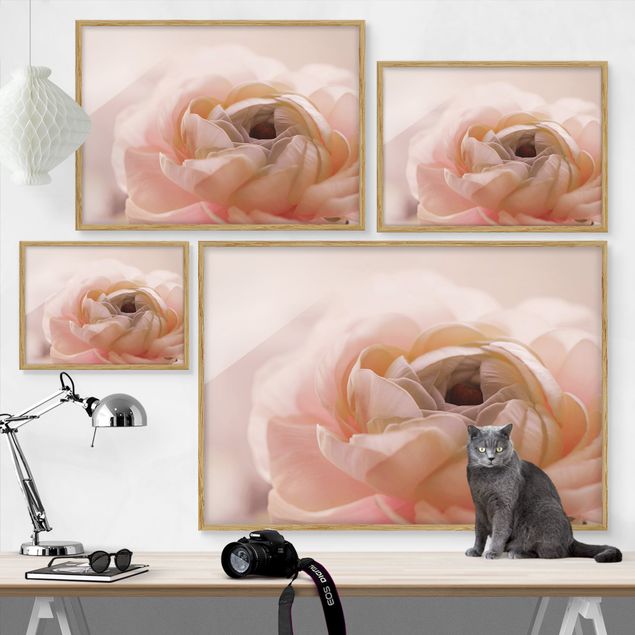 Framed poster - Focus On Light Pink Flower