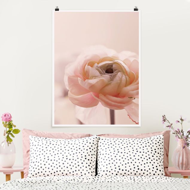 Poster - Focus On Light Pink Flower