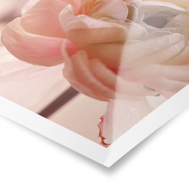 Poster - Focus On Light Pink Flower