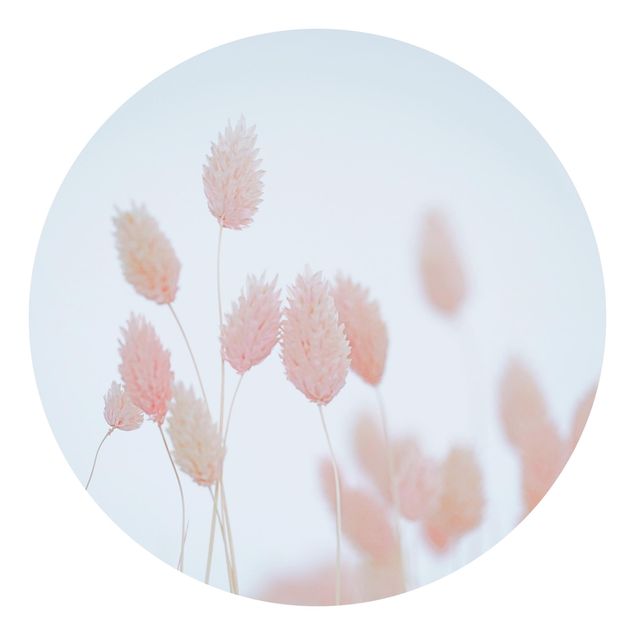 Self-adhesive round wallpaper - Grass Tips In Pale Pink