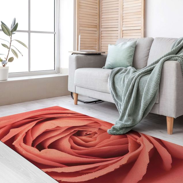 Modern rugs Pink Rose Blossom