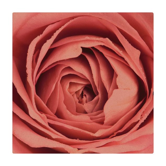 Cork mat - Pink Rose Blossom - Square 1:1