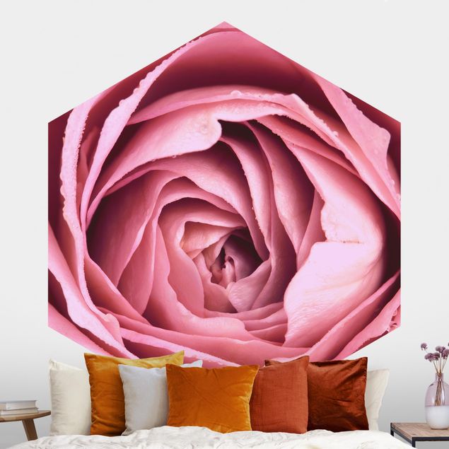 Self-adhesive hexagonal wall mural Pink Rose Blossom