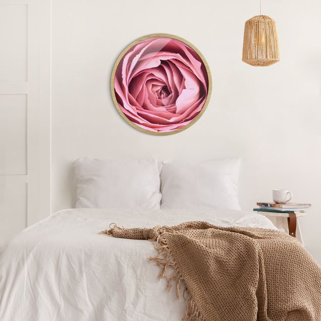 Circular framed print - Pink Rose Blossom