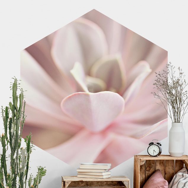 Self-adhesive hexagonal wall mural Light Pink Succulent Flower